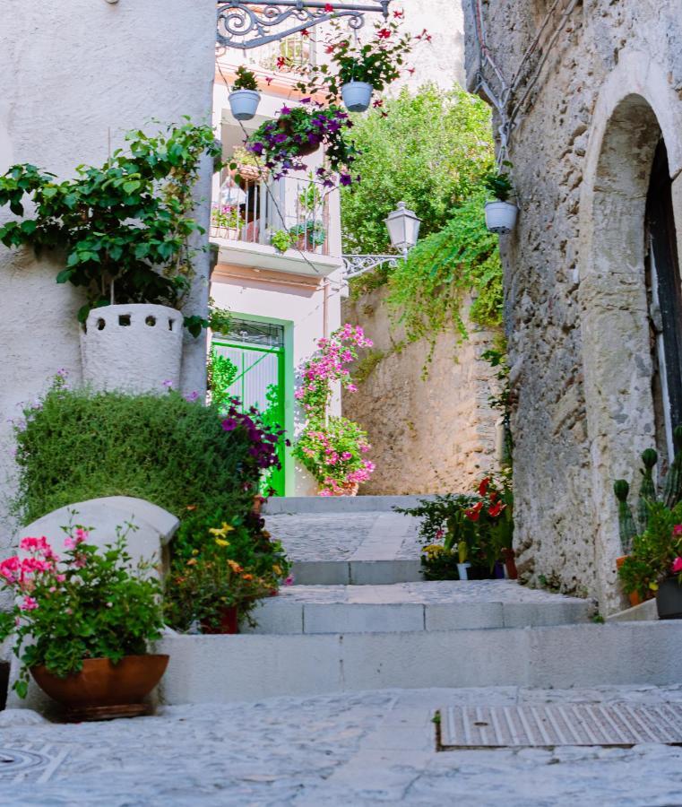 아망테 Dimora Cavour B&B 외부 사진